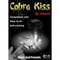 Cobra Kiss by Hondo and Magic Soul