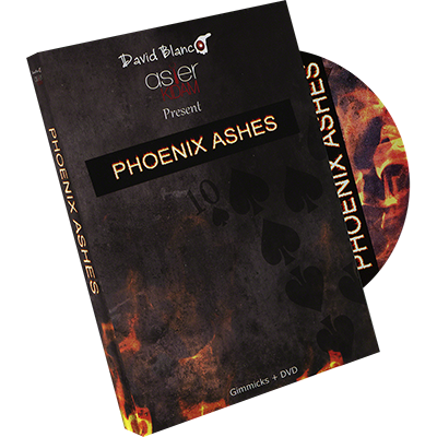 Phoenix Ashes by Asier Kidam