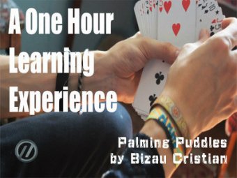 Theory11 Palming Puddles by Bizau Cristian