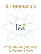 The Lotus Flower by Bill Montana