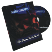 Subtle Concepts 2 by Richard Hucko Patrick Kun