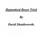 Hypnotised Boxer Trick by David Shuttleworth