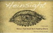 Heinsight by Karl Hein