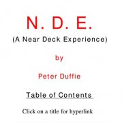 N.D.E by Peter Duffie