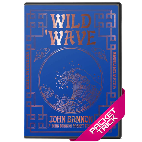 Wild Wave By John Bannon (Blackpool 2023)
